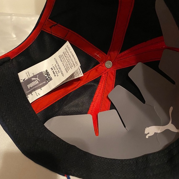 Puma - Picture 4 of 5